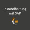 Logo maintenance Instandhaltung mit SAP