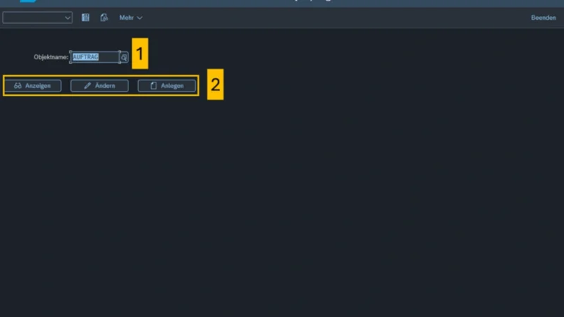 Screenshot zur SAP Nummernkreisobjektpflege: Objekt anlegen und pflegen