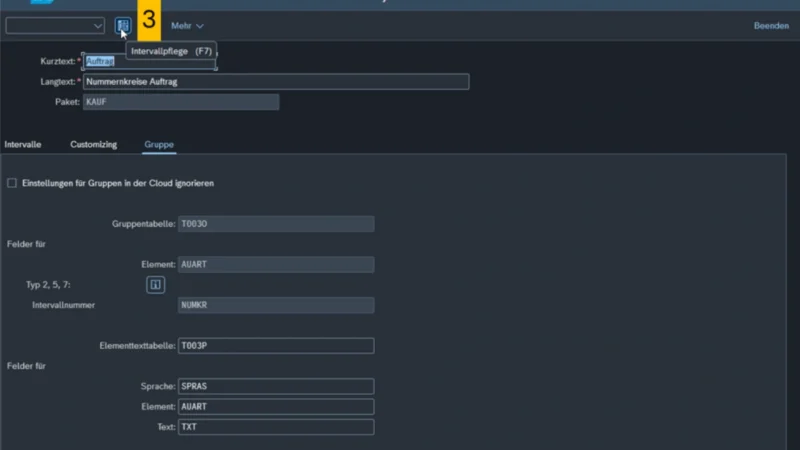 Screenshot: SAP Nummernkreisobjekt: Intervall pflegen